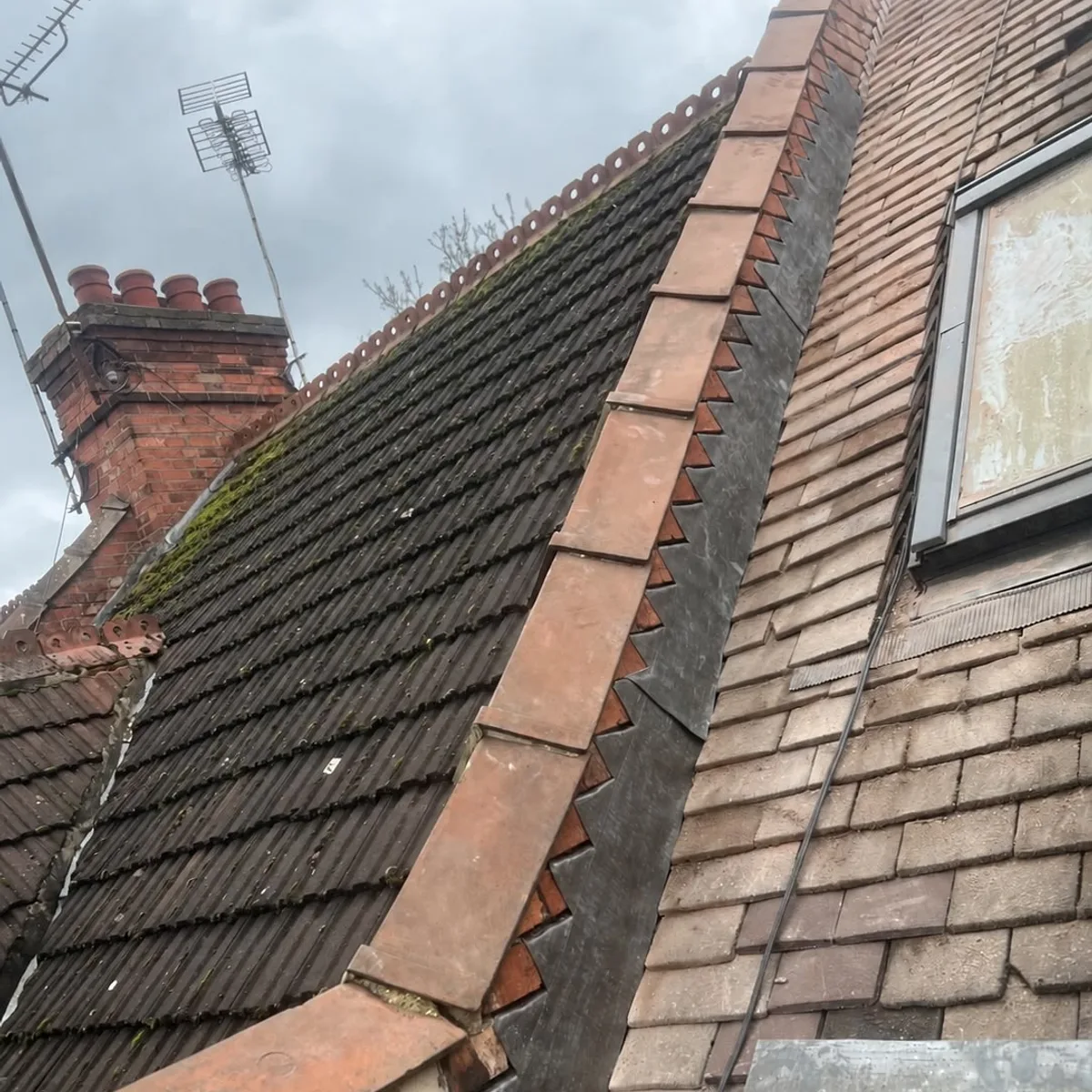 Cleaned tiled roof