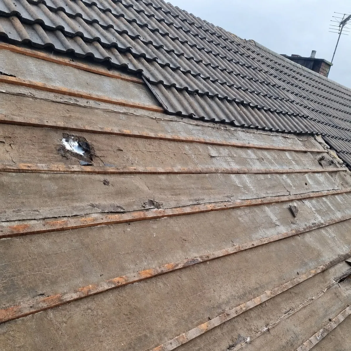 Re roof felt and battens