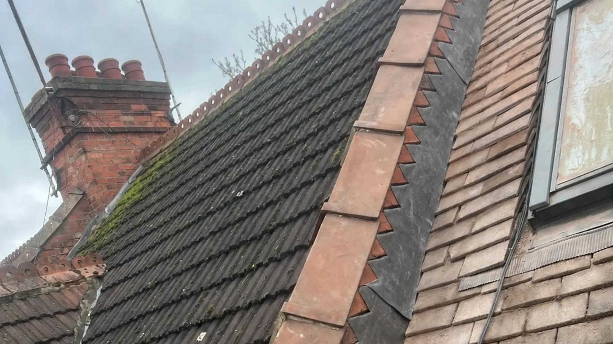 Moss Removal in Berkshire